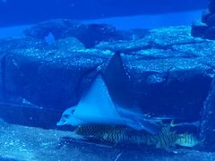 -波塞冬旅游度假区