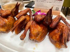 红烧乳鸽-沙龙酒家