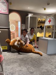 -奈尔宝·儿童乐园·亲子餐厅(华采天地店)