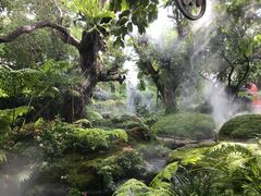 -Chom Cafe and Restaurant