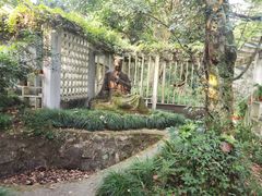 -杭州植物园