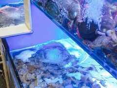 水产区-老虎滩大连海鲜烧烤(建邺云锦路总店)