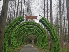 -东平国家森林公园