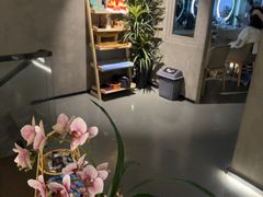 -施奈儿.洗头頭療.按摩SPA.采耳(上梅林店)