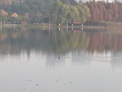 -尚贤河湿地