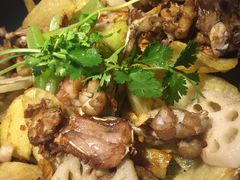 -蛙蛙叫干锅年代(簋街总店)