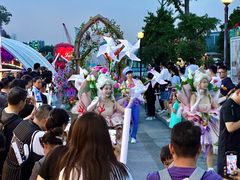 -荷兰花海