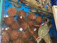 -大连湾旭日·家宴·海肠捞饭(马栏广场店)