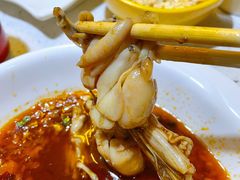 -味之绝美蛙鱼火锅(八号路店)
