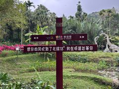 -呀诺达热带雨林