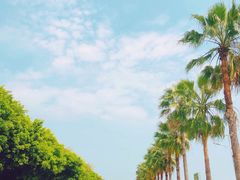-大湾区中央湿地公园-十九涌