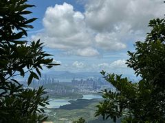 -阳台山森林公园