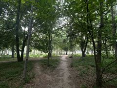 -长春市南湖公园