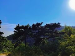 -北京西山国家森林公园