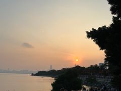 -深圳湾公园(南山区)