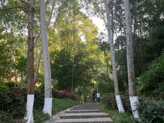 -火炉山森林公园
