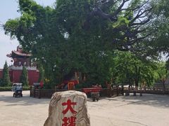 -大槐树寻根祭祖园