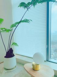 -时光海科学美肤中心
