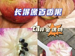 -曼阁市场水果批发市场