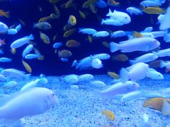 -成都浩海立方海洋公园