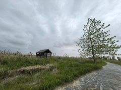 -盐城丹顶鹤湿地生态旅游区