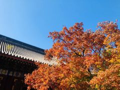 -香山公园-东宫门售票处