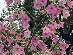 -广东外语外贸大学(白云山校区)