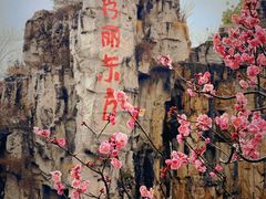 -秀丽东方