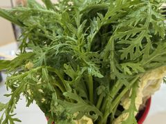 蔬菜拼盘-朴小妹人参鸡汤火锅(长白山万达店)