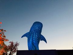 -珠海长隆海洋王国