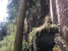 -刘伯温故里景区百丈漈