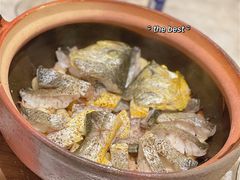 砂锅焗东海大黄鱼-人间采蜜(海信广场店)