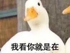 -味香鸭子店(汉口西路店)