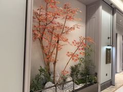 -金贵源食神(楚河汉街店)