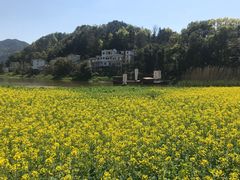 -新安江山水画廊风景区