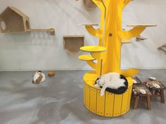-万达广场(大明宫店)