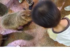-正佳雨林生态植物园