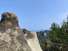 -大岭沟猕猴桃谷风景区