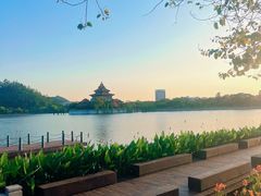 -顺峰山公园