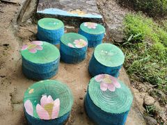 -广州白江湖森林公园