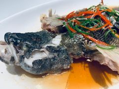 -上海外滩雅致酒店