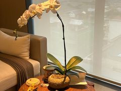 -成都博舍酒店