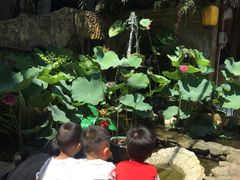 -园林美食城·本土农家菜(杨和镇店)