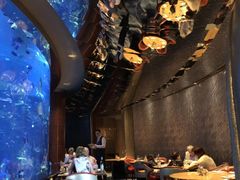 -迪拜帆船酒店海底餐厅