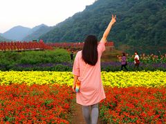 -广州市石门国家森林公园