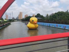 -菊园百果园