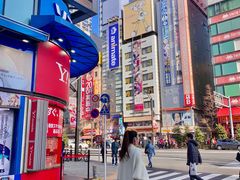 -秋叶原电器街