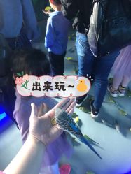 -未来动物城动物主题公园(大悦城店)