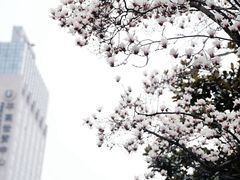 -上海方塔园