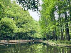 -上海共青森林公园